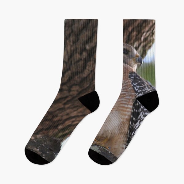 Item preview, Hawk designed and sold by JDMHoney.
