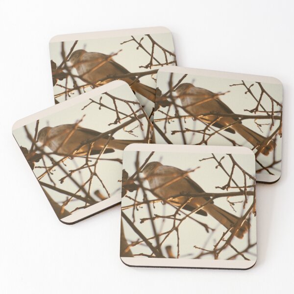 Item preview, Bird designed and sold by aepphotographs.