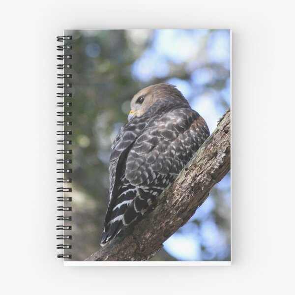 Item preview, Hawk designed and sold by JDMHoney.