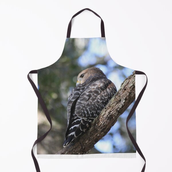 Item preview, Hawk designed and sold by JDMHoney.