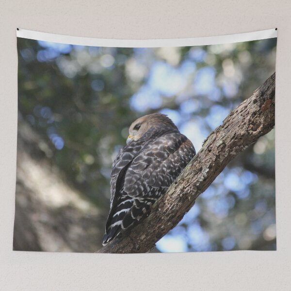 Item preview, Hawk designed and sold by JDMHoney.