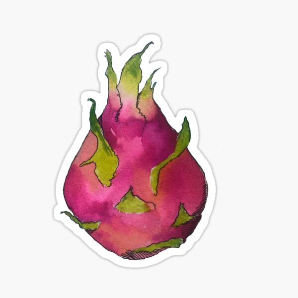 Dragonfruit Sticker