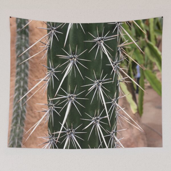 Item preview, Cactus designed and sold by AestheticNerd15.