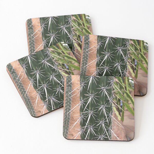 Item preview, Cactus designed and sold by AestheticNerd15.