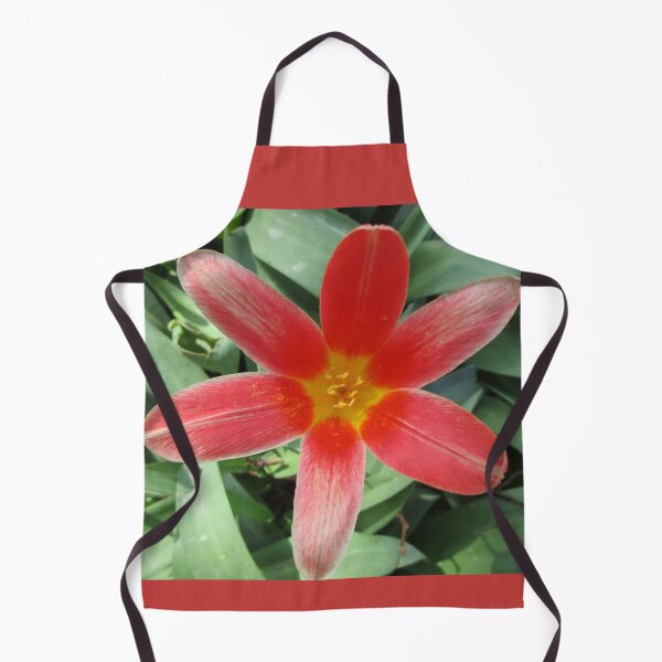 Item preview, Red flower with a yellow heart designed and sold by StephanieCAD.