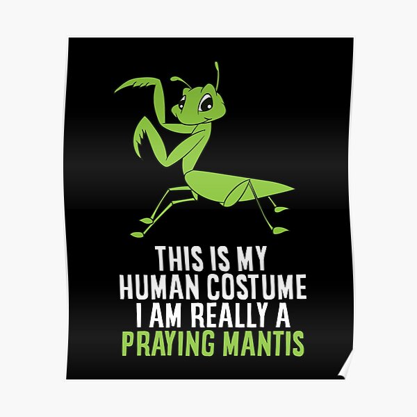 This Is My Human Costume I'm Really a Praying Mantis Poster