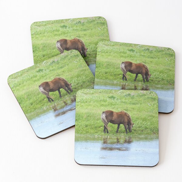 Item preview, Spanish Barb Grazing by a Pond designed and sold by Vivar Photo.