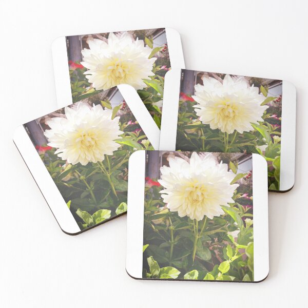 Item preview, Dahlias, Montreal designed and sold by Tess Salazar Espinoza.