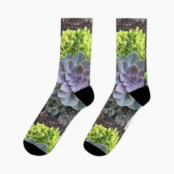 Item preview, Pretty Garden Succulents designed and sold by actual snot.