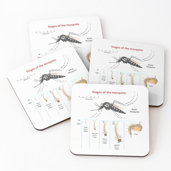Item preview, Nature Aedes aegypti, growth-stage stilt mosquito. Ideal for informational and institutional related sanitation and care designed and sold by LucianoCosmo.