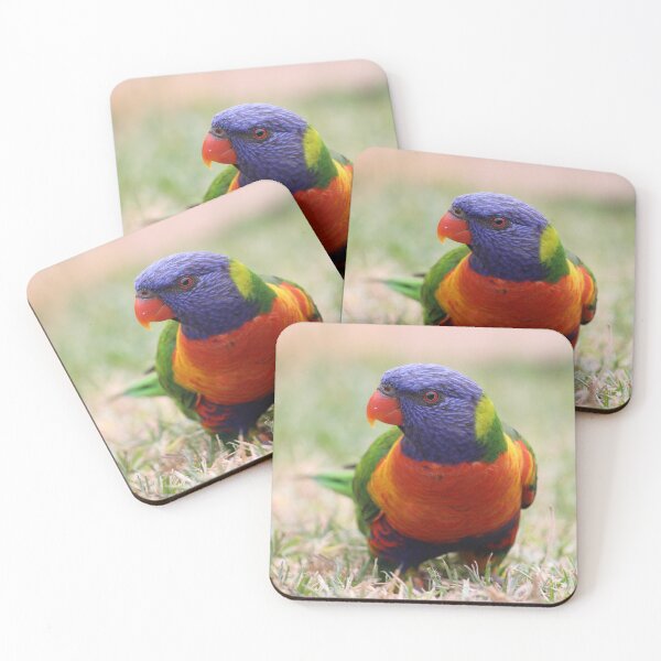 Item preview, Birdy designed and sold by Voyage Today.