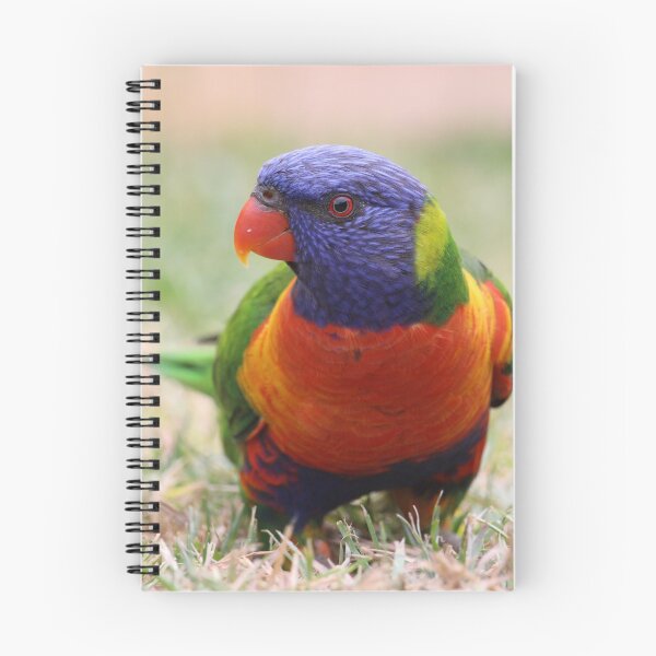 Item preview, Birdy designed and sold by Voyage Today.