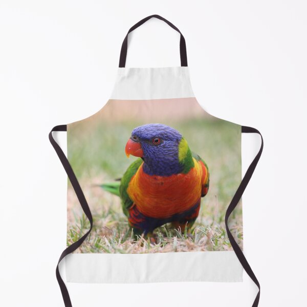 Item preview, Birdy designed and sold by Voyage Today.