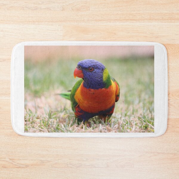 Item preview, Birdy designed and sold by Voyage Today.