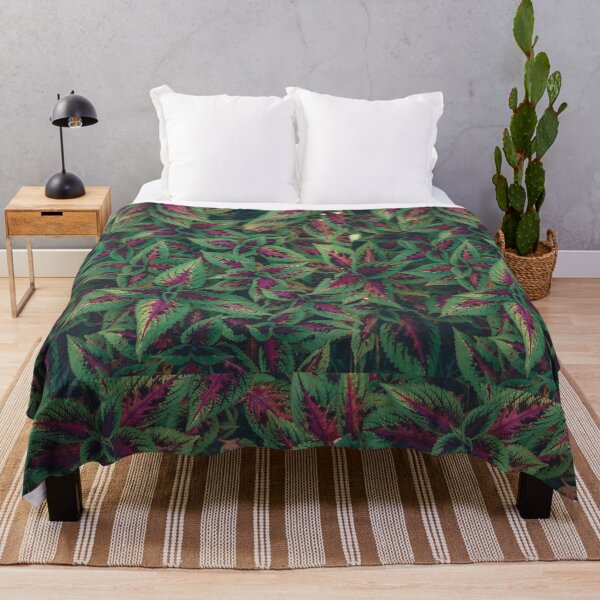 Item preview, Coleus plant designed and sold by mcburns5.