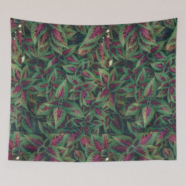 Item preview, Coleus plant  designed and sold by mcburns5.