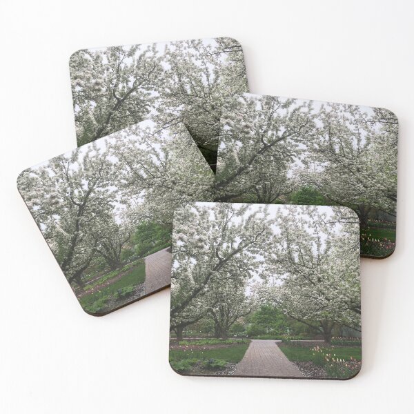 Item preview, Flower Path designed and sold by AestheticNerd15.