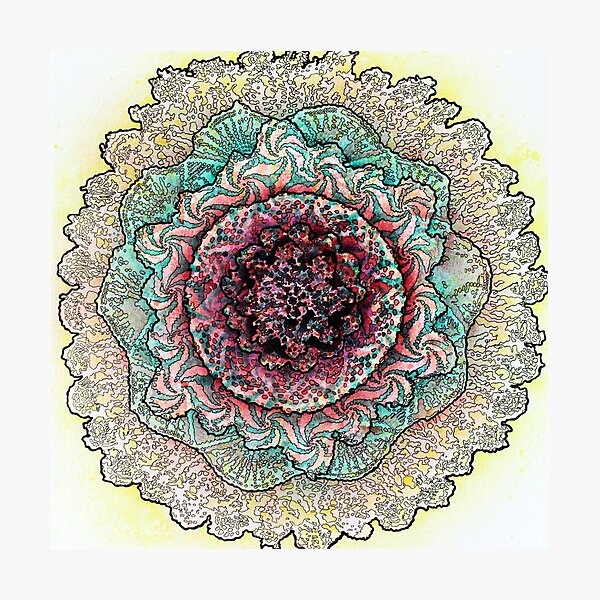 Stain 22 Photographic Print