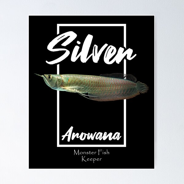 Silver Arowana Monster Fish Keeper Poster for Sale by JRRTs