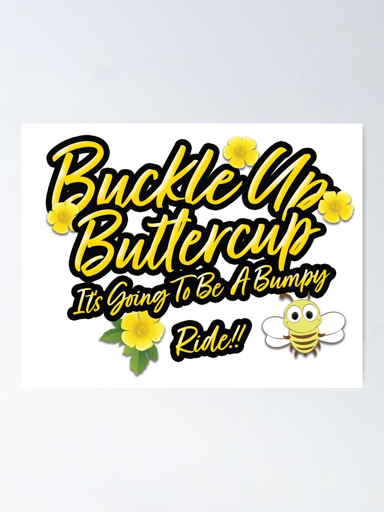 cohen buckle up buttercup cohen buckle up buttercup