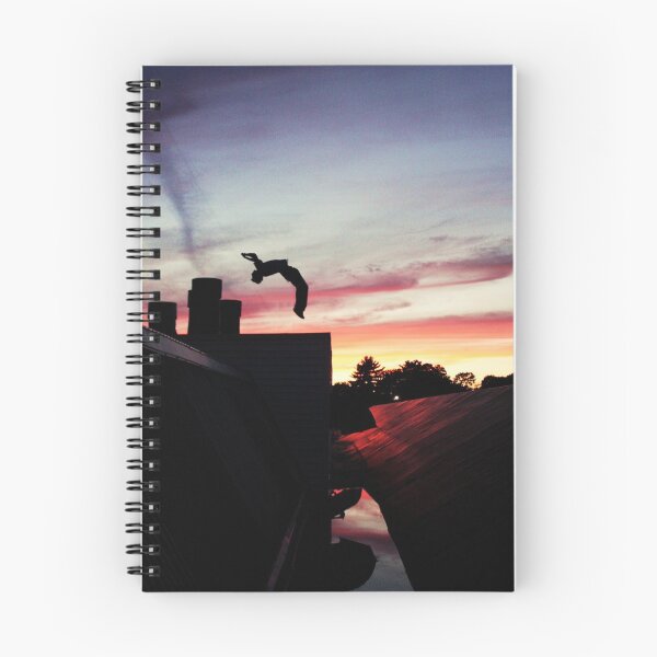 Item preview, Retrato fotográfico Sunset Backflip designed and sold by Melissablackjpg.