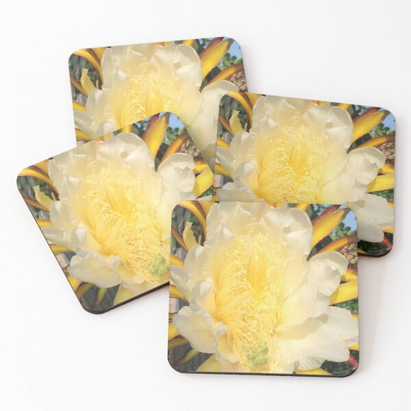 Item preview, Dragon Fruit Yellow Blooming Flower designed and sold by JDMHoney.