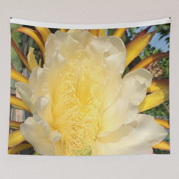 Item preview, Dragon Fruit Yellow Blooming Flower designed and sold by JDMHoney.