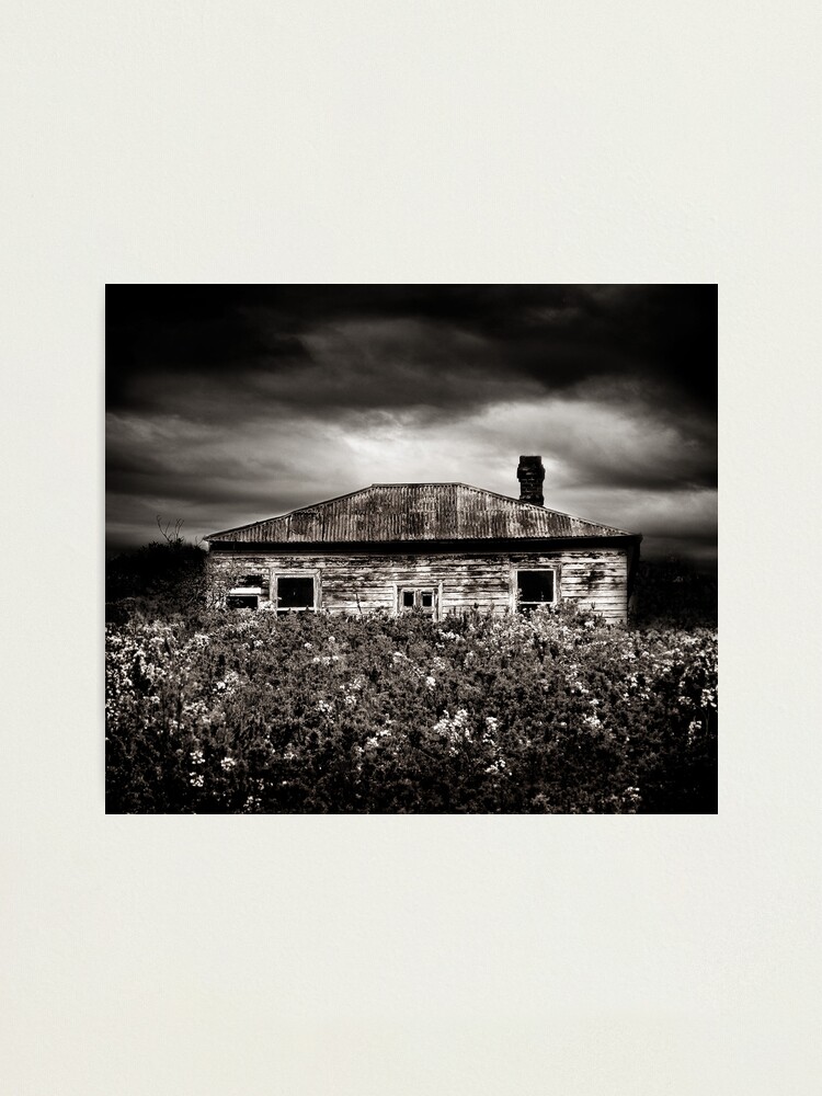 Alternate view of Dry Flower Homestead Photographic Print