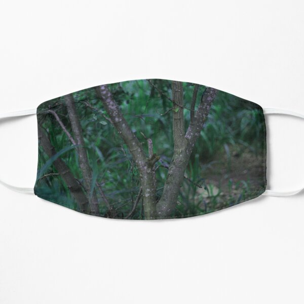 Between the rainforest Mask