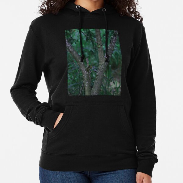 Between the rainforest Lightweight Hoodie
