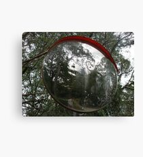Warped Mirror Canvas Print