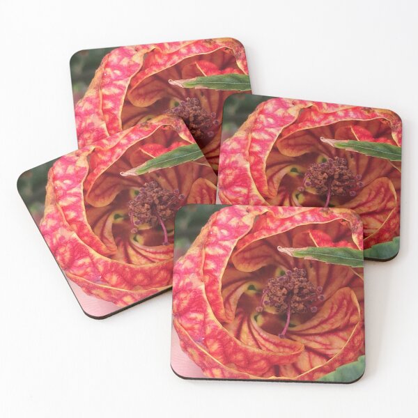 Item preview, Callianthe darwinii Red Yellow Flower designed and sold by JDMHoney.