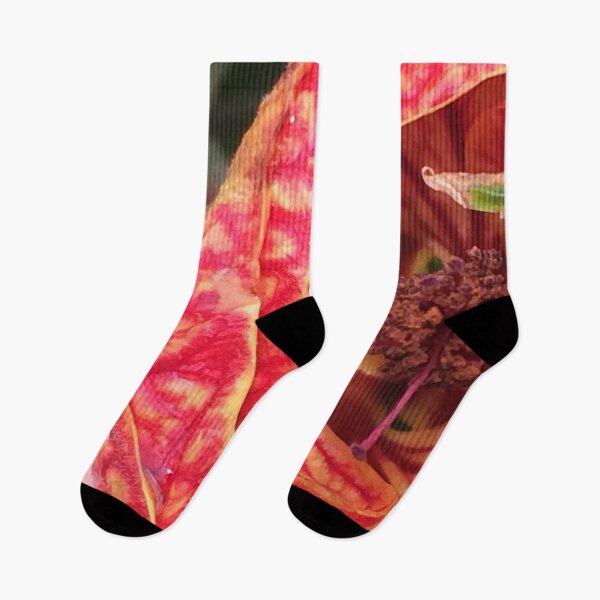 Item preview, Callianthe darwinii Red Yellow Flower designed and sold by JDMHoney.