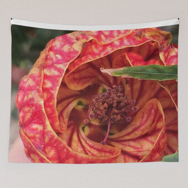 Item preview, Callianthe darwinii Red Yellow Flower designed and sold by JDMHoney.