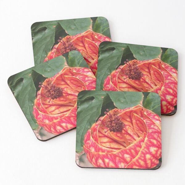 Item preview, Callianthe darwinii Red Yellow Flower designed and sold by JDMHoney.