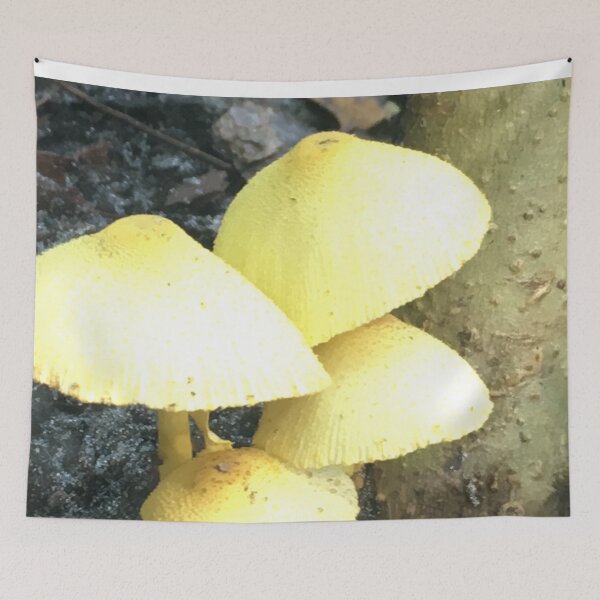 Item preview, Wild Mushrooms Yellow Tone designed and sold by JDMHoney.