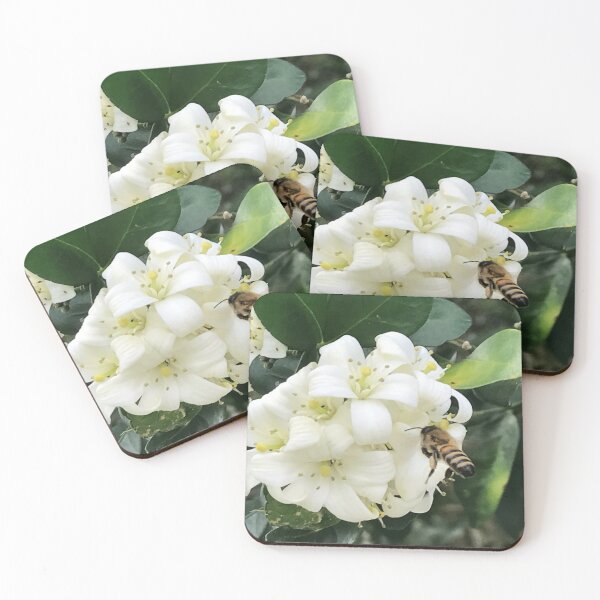 Item preview, Grumichama Cherry Flower Blossom With Worker Bee designed and sold by JDMHoney.