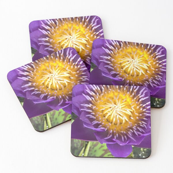 Item preview, Water Lily Egyptian Lotus designed and sold by JDMHoney.