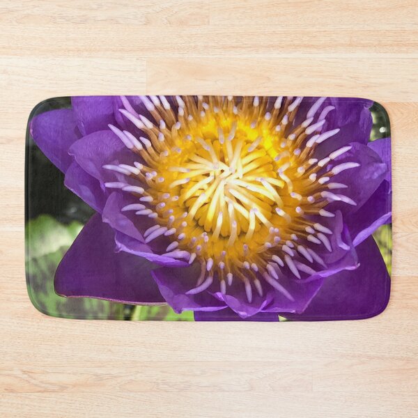 Item preview, Water Lily Egyptian Lotus designed and sold by JDMHoney.