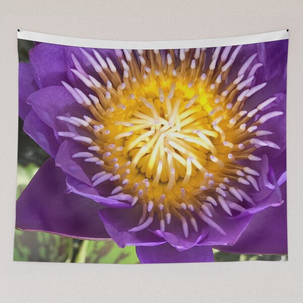Item preview, Water Lily Egyptian Lotus designed and sold by JDMHoney.