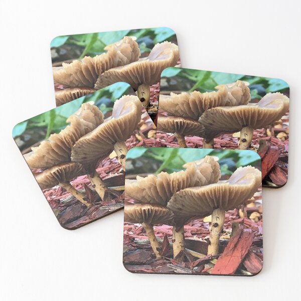 Item preview, Wild Mushrooms Earthy designed and sold by JDMHoney.