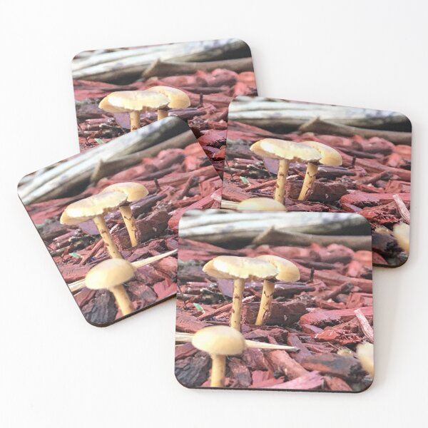 Item preview, Wild Mushrooms Earthy designed and sold by JDMHoney.