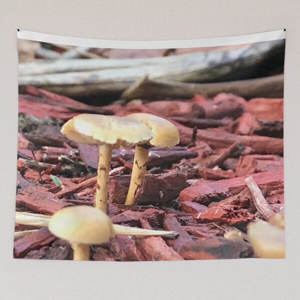 Item preview, Wild Mushrooms Earthy designed and sold by JDMHoney.