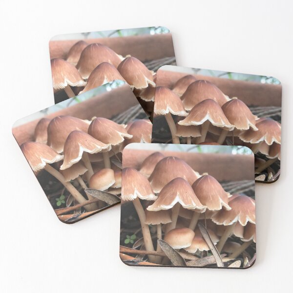 Item preview, Wild Mushrooms Cluster Earthy designed and sold by JDMHoney.