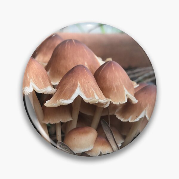 Item preview, Wild Mushrooms Cluster Earthy designed and sold by JDMHoney.
