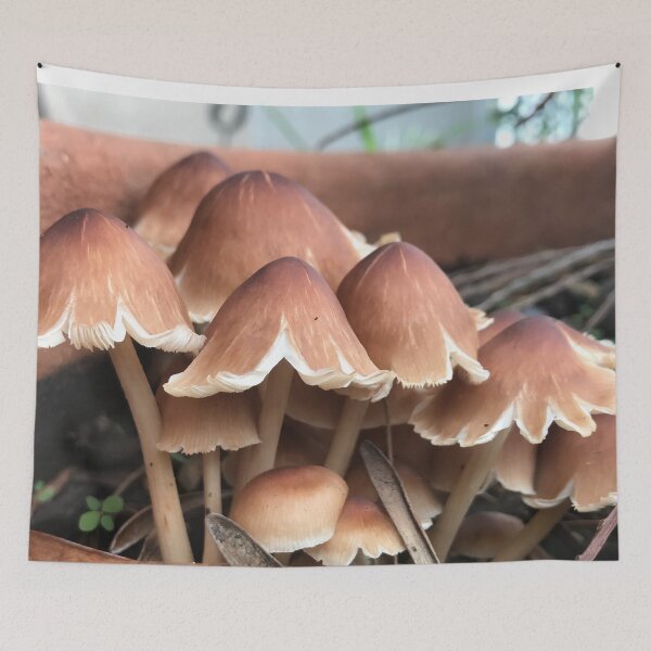 Item preview, Wild Mushrooms Cluster Earthy designed and sold by JDMHoney.