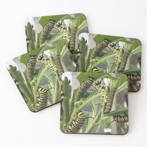 Item preview, Monarch Butterfly Caterpillar designed and sold by JDMHoney.