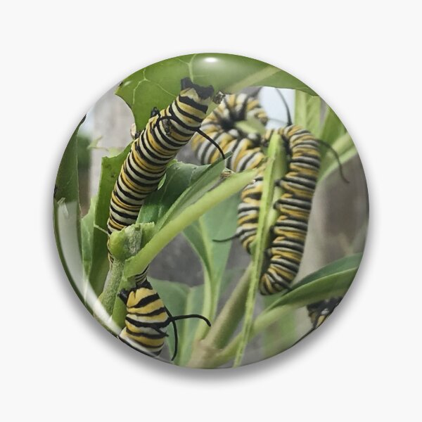 Item preview, Monarch Butterfly Caterpillar designed and sold by JDMHoney.