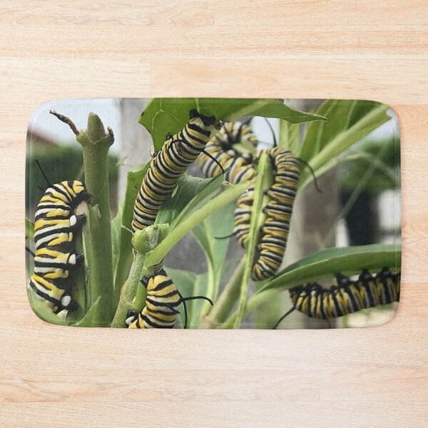 Item preview, Monarch Butterfly Caterpillar designed and sold by JDMHoney.