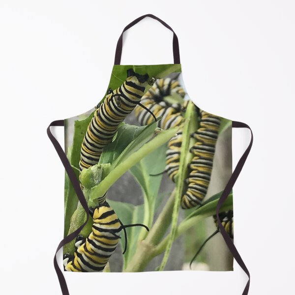 Item preview, Monarch Butterfly Caterpillar designed and sold by JDMHoney.